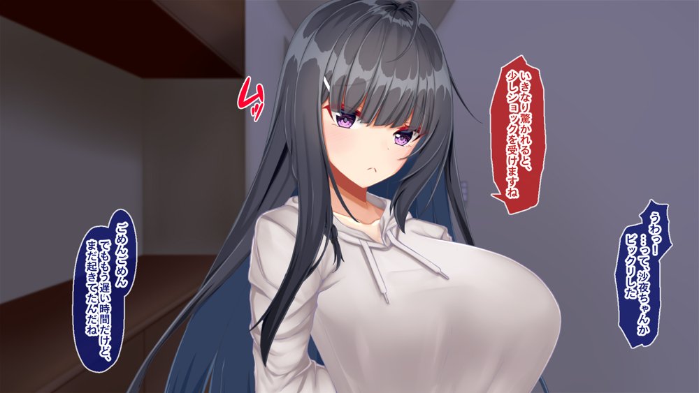 黒髪清楚な彼女は妻の妹 前編 〜妻の居ぬ間に魅せる義妹のドスケベ本性〜